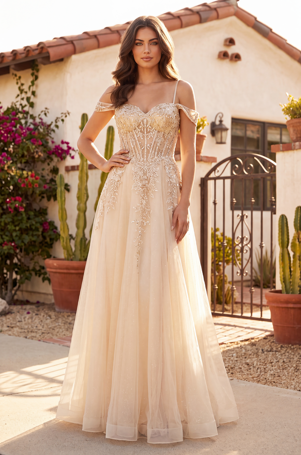 Robe Longue de Bal Formelle Style Corset en Gros